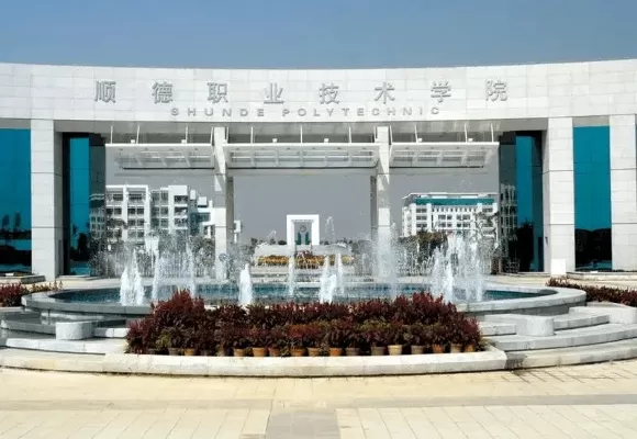 顺德职业技术学院代码是什么？深度剖析其标识意义与实操指南