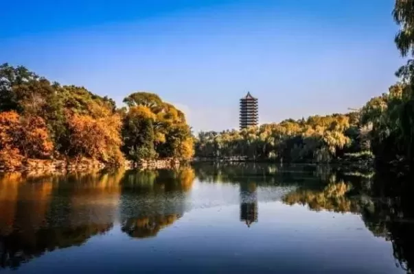 中国最美大学在哪里？校园环境如何塑造未来人才