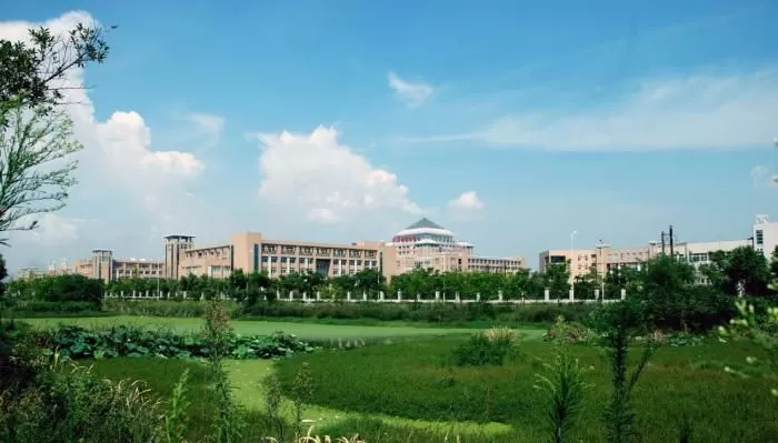 武汉科技大学中外合作办学怎么样？开启全球视野的高等教育新篇章