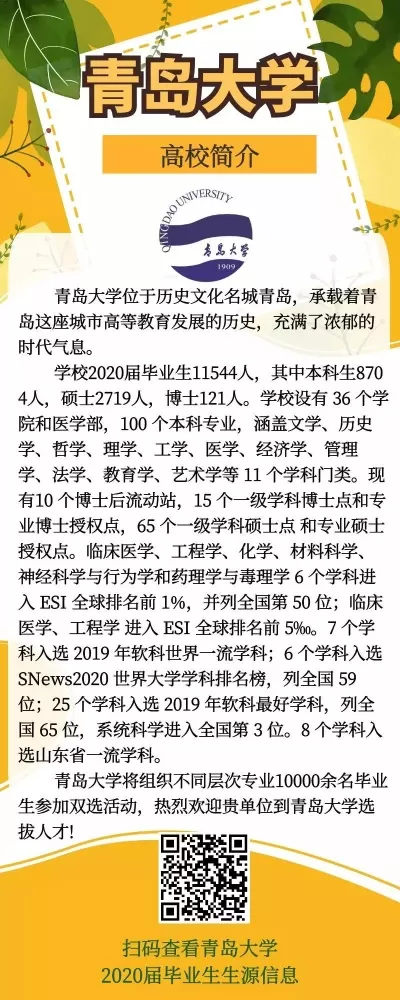  青岛大学有哪些学校？构筑多元完整的教育生态版图