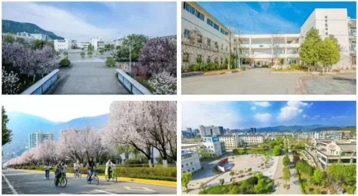 广元大学有哪些学校？——全面梳理在地化高等教育资源