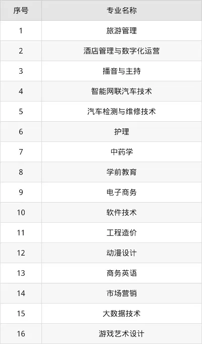  长江职业学院中外合作办学项目怎么样？全面解析招生亮点与就业前景