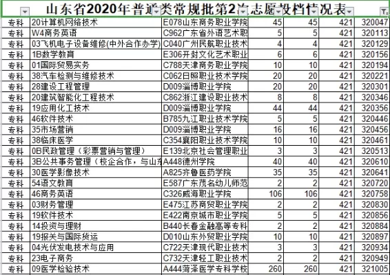  山东专科志愿怎么报最稳妥？这份全方位指南告诉你答案