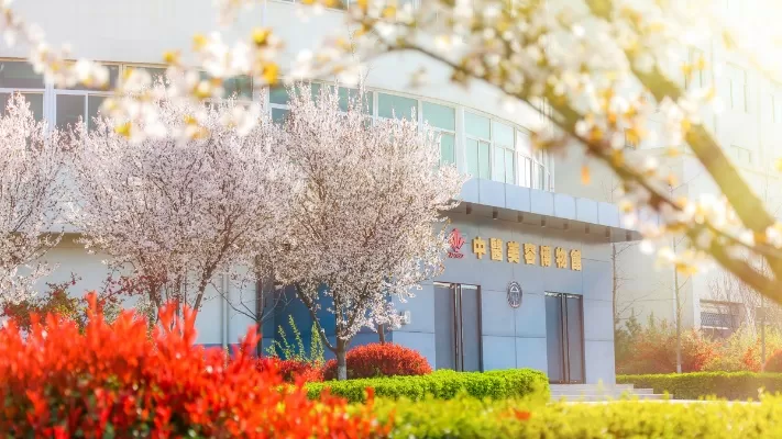  西安海棠职业学院是什么学校？全面解析这所特色高职院校