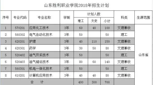 山东胜利职业学院是什么类型的学校？深入解析其职业教育本质与特色