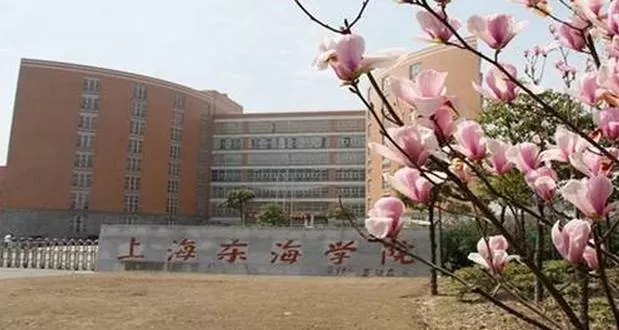  上海东海职业技术学院好吗？深度解析民办高职的匠心之路