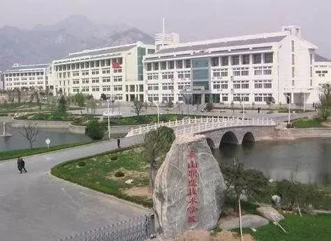 山东泰山职业技术学院怎么样？它如何成为区域职业教育的标杆？