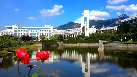 泰山职业技术学院是公办还是民办？本质属于国家公办全日制普通高校