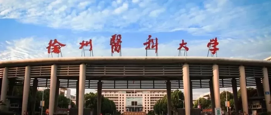 徐州医科大学临床专业怎么样？全方位剖析学科特色与培养体系