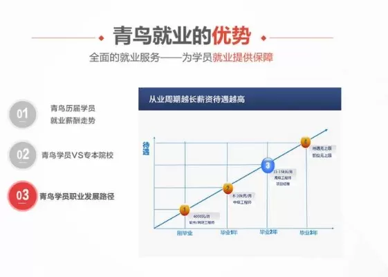 北大青鸟互联网学院是什么？其特点与定位解析