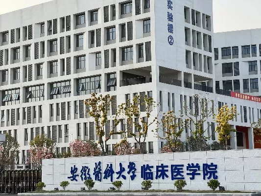 安徽医科大学临床医学学院是一所怎样的院校？深入解析其教学与科研优势