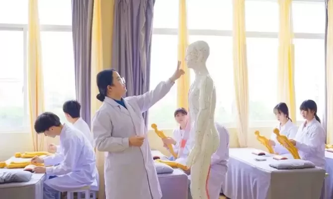 云南医药健康职业学院针灸推拿在哪个校区？专业优势与校区布局深度解读