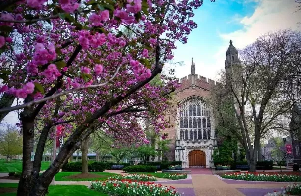  华盛顿大学西雅图分校录取要求是什么？全面剖析本科与研究生申请核心要素
