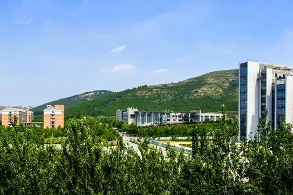 山东师范大学国际本科是什么？优势与前景全解析