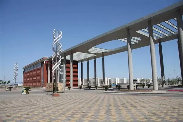  天津滨海职业学院可以转专业吗？——全面解析转专业条件与流程