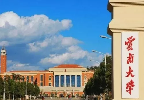 为了211去云南大学值不值？本质是教育品牌与个人成长的权衡