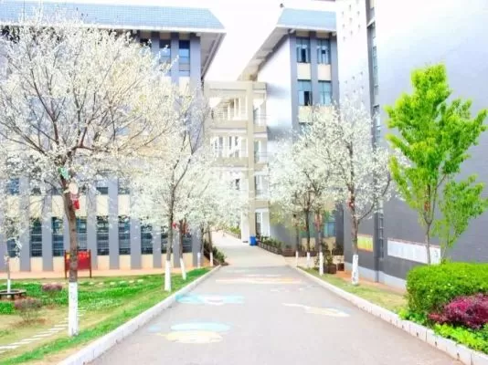 云南城市建设职业学院是高职还是本科？专注职业教育的应用型高校