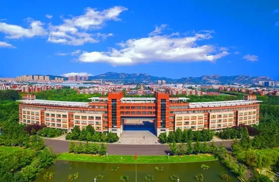 山东科技大学国际本科怎么样？本质是国际化人才培养创新平台