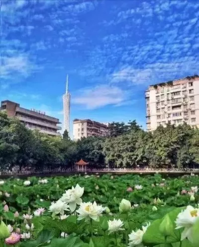 广州第二师范学院招生电话是多少？全面解析联系方式与使用指南