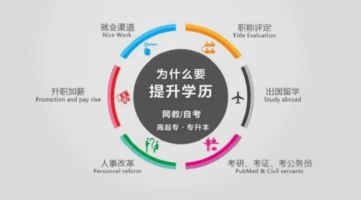 成人高考是本科还是大专？本质属于多元化学历提升途径