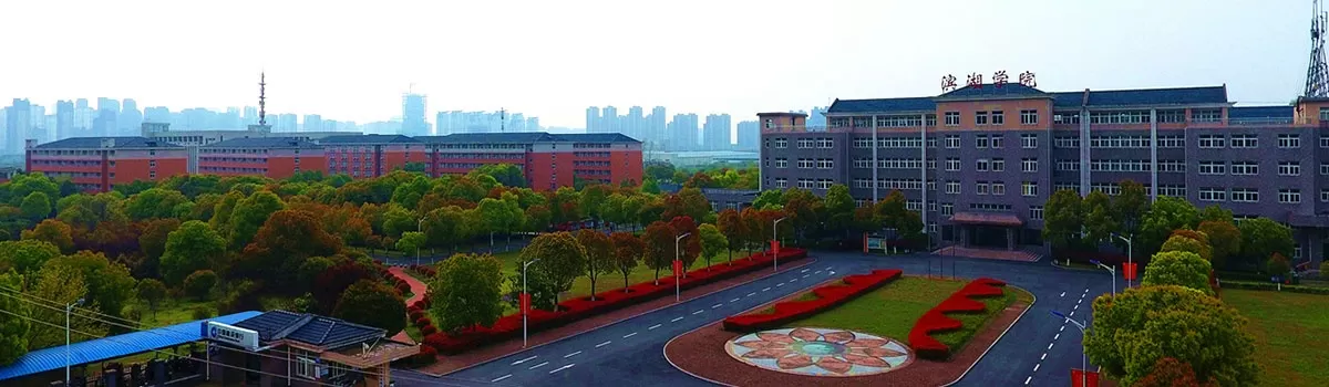  滨湖职业技术学院是公办还是民办？权威解答来了