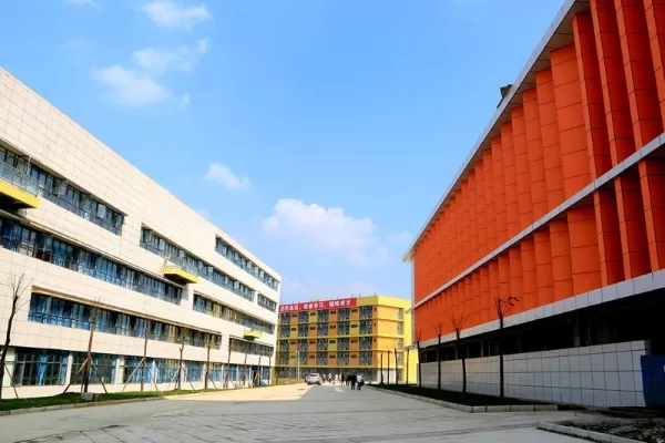 成都艺术职业大学是怎样的学校？深度解析特色职业教育模式