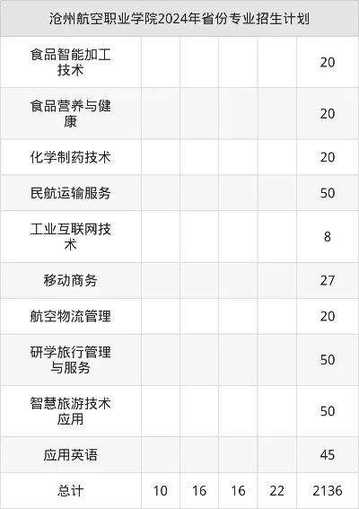 沧州航空职业学院是公办还是民办？——深度解析其民办属性与航空特色