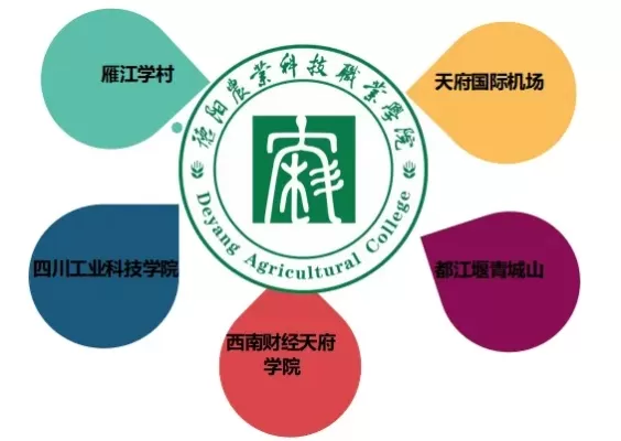 德阳有几所大学？全面剖析五所高校的定位与贡献