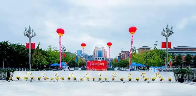 四川文化产业职业学院在哪里？坐落天府之国的文化教育高地