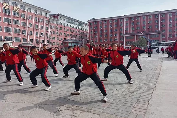 武术学院一年的费用是多少？揭秘不同院校收费标准与省钱技巧