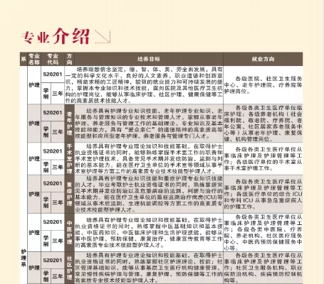 河南护理职业学院官网有哪些特色？全面解析院校发展与网络平台建设