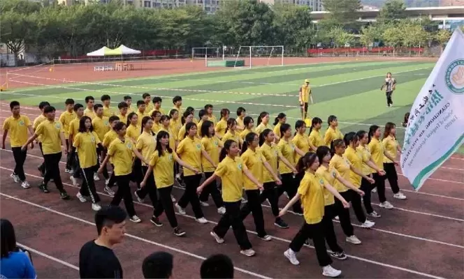 广东农工商职业技术学院502专业组怎么样？深耕学前教育，打造职业发展新高地