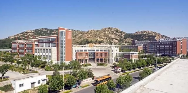 青岛市马山技术学院是公办还是民办？深入解析其职业教育特色