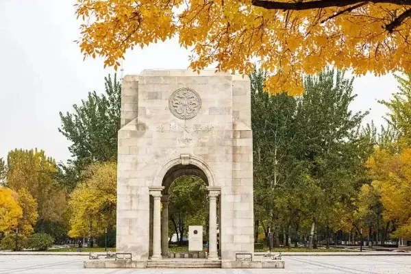 天津大学在职博士如何申请？全面解读2025招生政策与流程