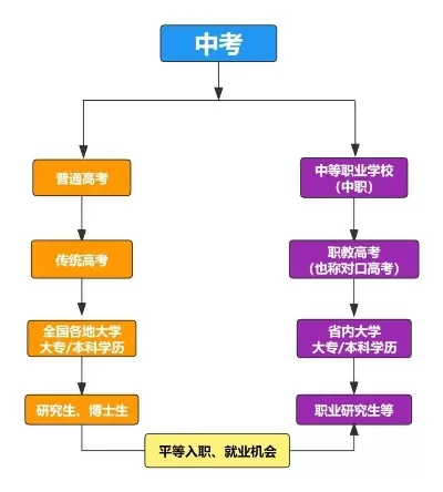  中专毕业生如何报考大专？四条核心路径全解析
