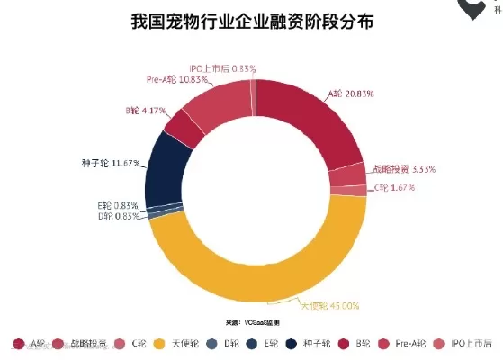 宠物专业就业方向有哪些？行业前景如何？