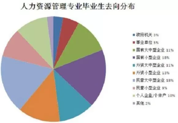 人力资源管理专业考研方向有哪些？全面解析主流选择与备考策略