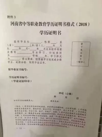 大专学历证明模板怎么写？这份全面指南助你零失误操作