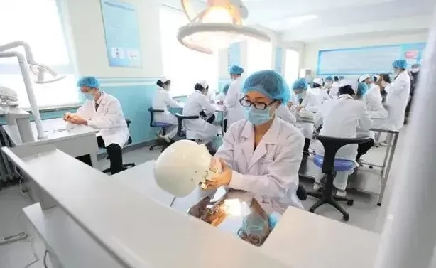 哈尔滨私立院校有无口腔医学专业？剖析现状与教育路径选择