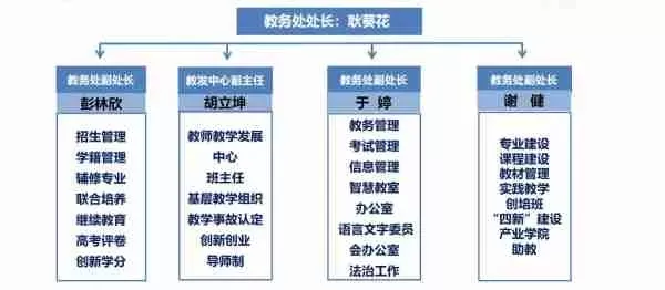 台州学院教务处是什么部门？深入解析其职能定位与服务特色
