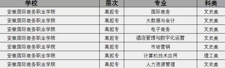 安徽国际商务职业学院是大专吗？——全面剖析其专科教育定位与优势