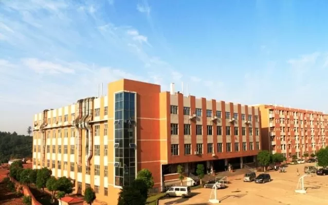 中南林业科技大学涉外学院是一所什么样的高校？全面解读办学特色与优势