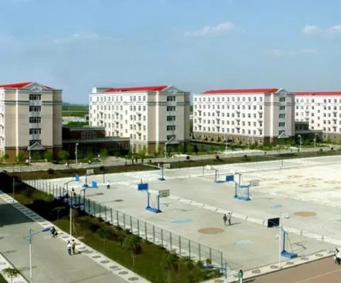 哈尔滨黑农工职业学院地址在哪里？——双校区布局与战略发展全解析