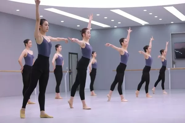 舞蹈生最容易上岸的专业？这5大方向值得重点考虑