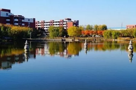 山东科技大学是什么类型的大学？本质属于省属重点多科性大学