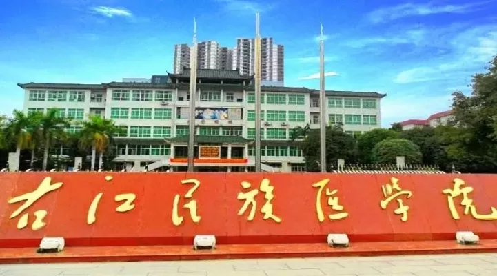 右江民族医学院是什么档次的大学？一所扎根革命老区的区域性医学教育重镇
