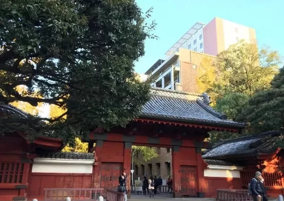 东京大学主校区究竟有何魅力？百年学府如何平衡传统与创新？