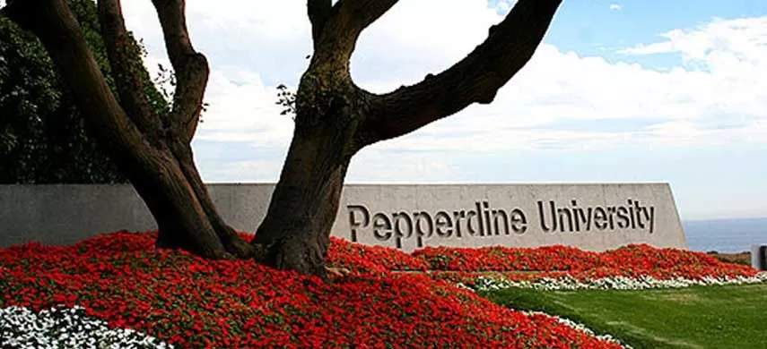  佩珀代因大学世界排名如何？全面解析排名数据与学术实况