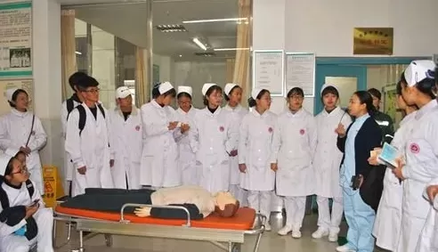 四川护理学院龙泉校区是怎样的学府？它如何培养新时代护理人才？