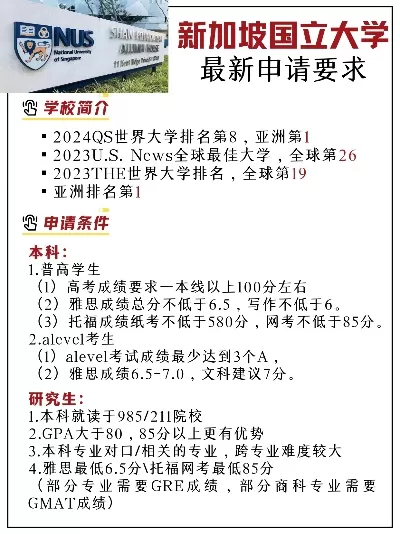 去新加坡上大学需要什么条件？全面解析申请资格与流程
